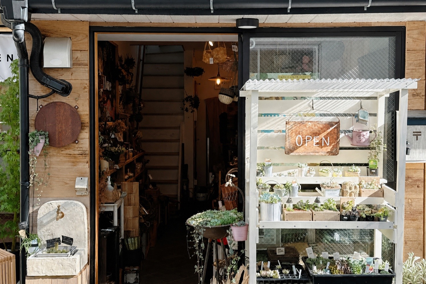 はじまりになった家族の店の店先。OPENの看板と、多肉植物の並ぶ白い棚